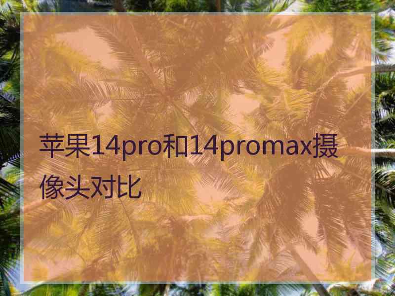 苹果14pro和14promax摄像头对比