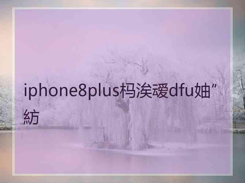 iphone8plus杩涘叆dfu妯″紡