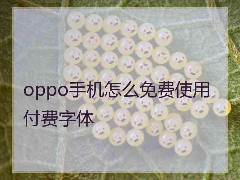 oppo手机怎么免费使用付费字体