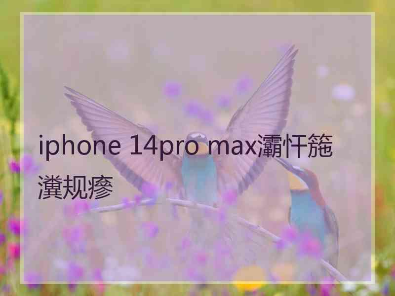 iphone 14pro max灞忓箷瀵规瘮