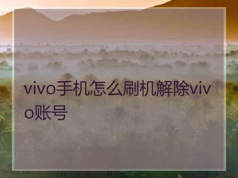 vivo手机怎么刷机解除vivo账号