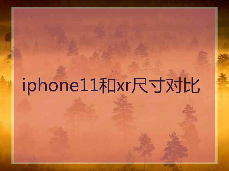 iphone11和xr尺寸对比