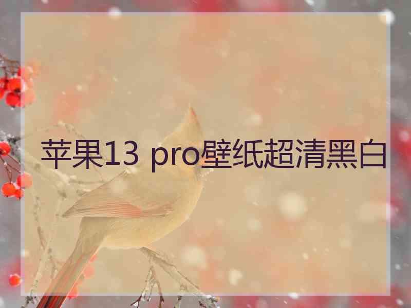 苹果13 pro壁纸超清黑白