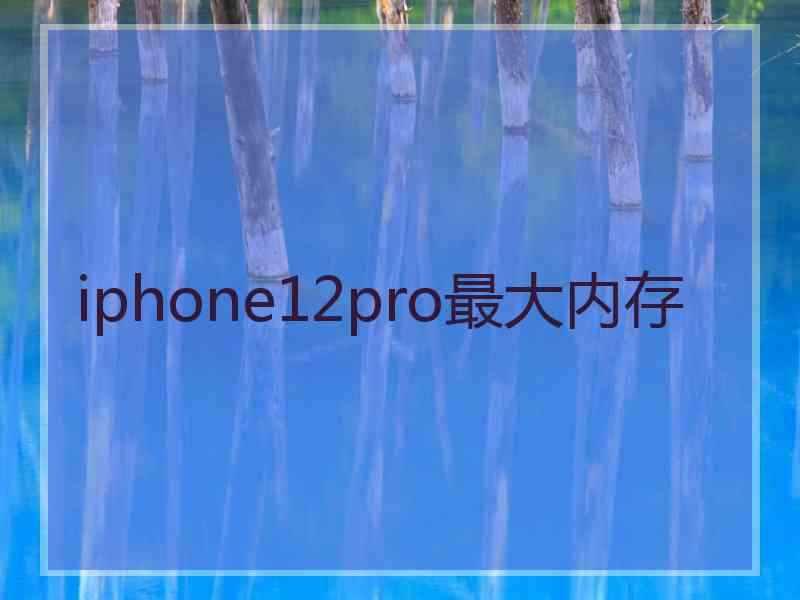 iphone12pro最大内存