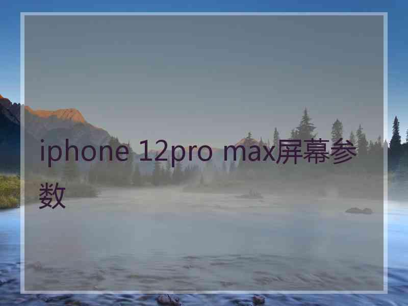 iphone 12pro max屏幕参数