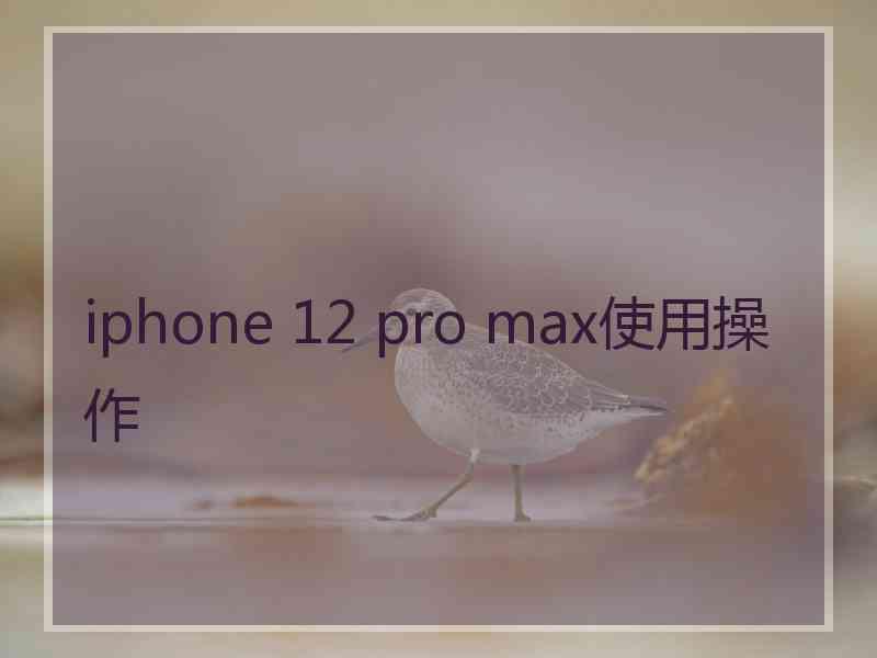 iphone 12 pro max使用操作