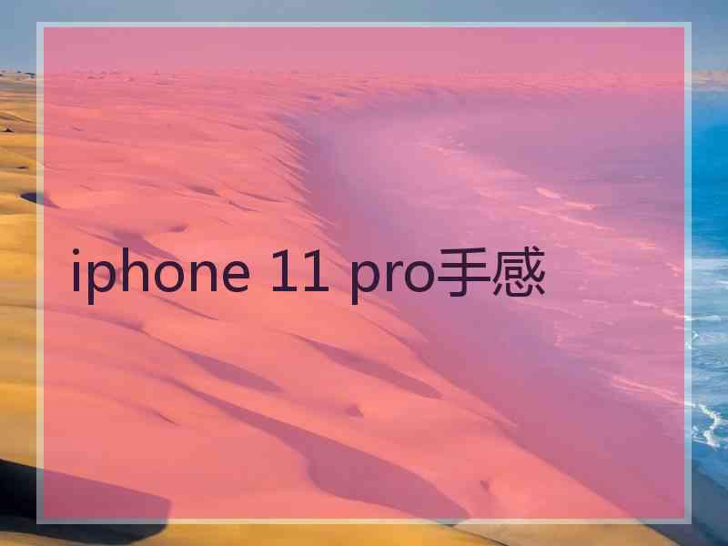 iphone 11 pro手感