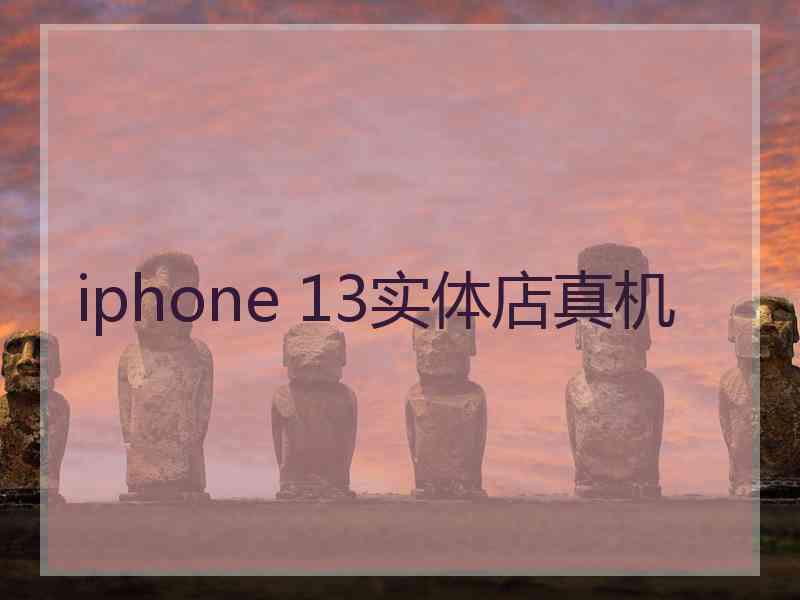 iphone 13实体店真机