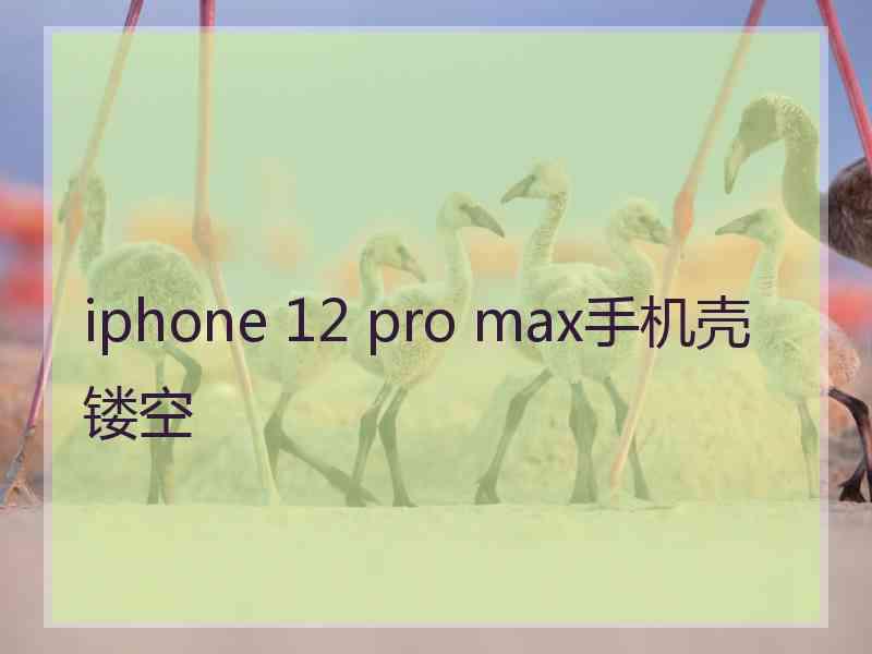 iphone 12 pro max手机壳镂空