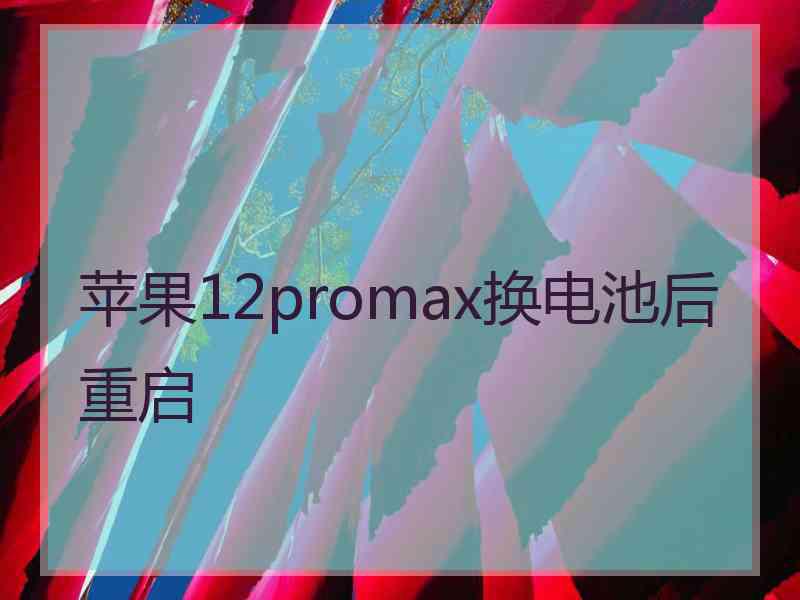 苹果12promax换电池后重启