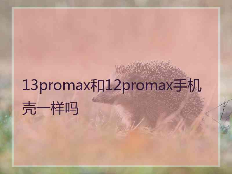 13promax和12promax手机壳一样吗