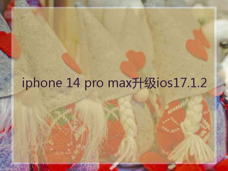 iphone 14 pro max升级ios17.1.2