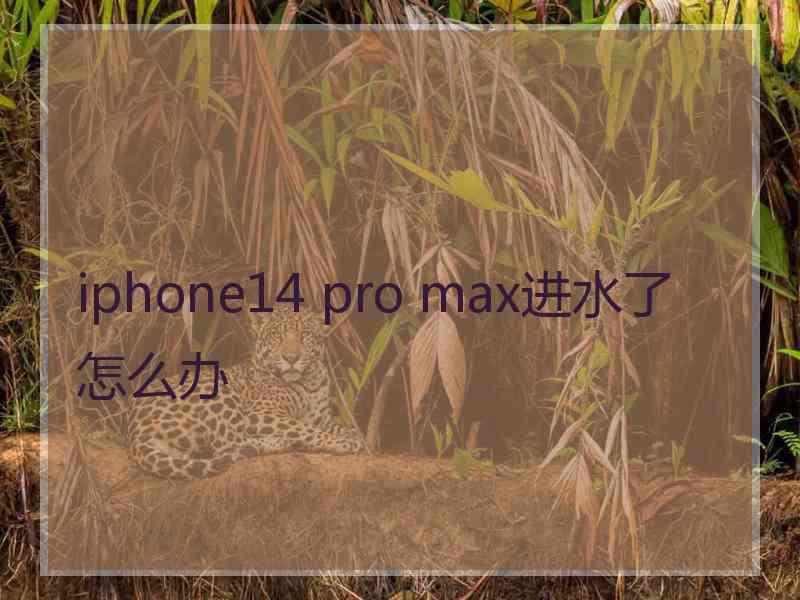 iphone14 pro max进水了怎么办