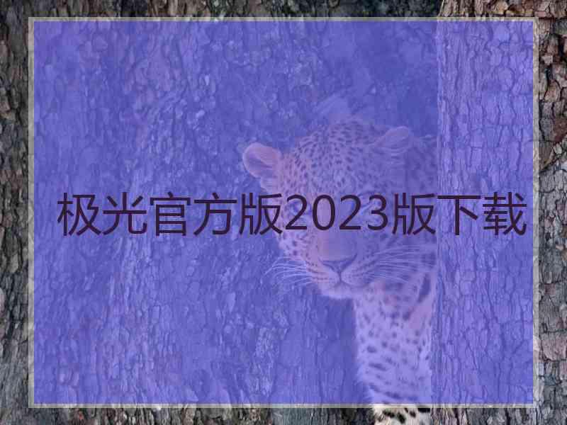 极光官方版2023版下载