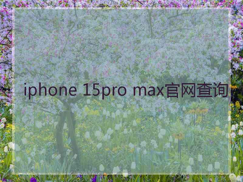 iphone 15pro max官网查询