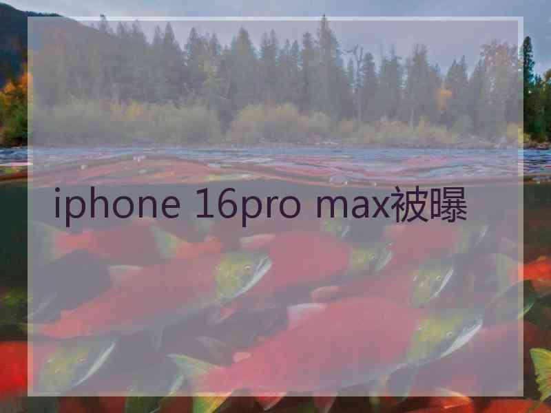 iphone 16pro max被曝