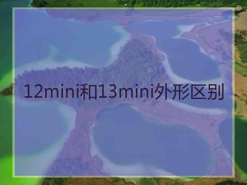 12mini和13mini外形区别