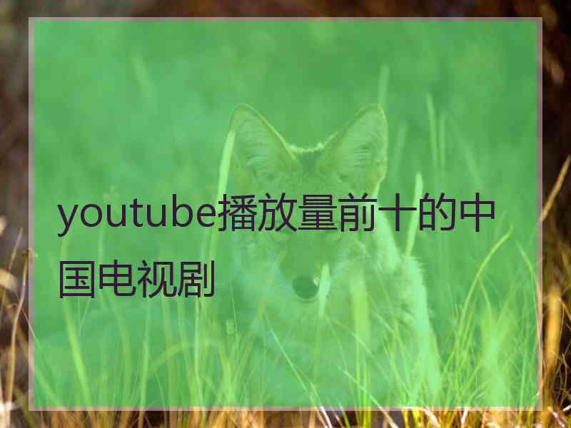 youtube播放量前十的中国电视剧