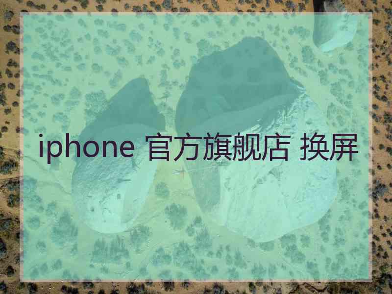 iphone 官方旗舰店 换屏