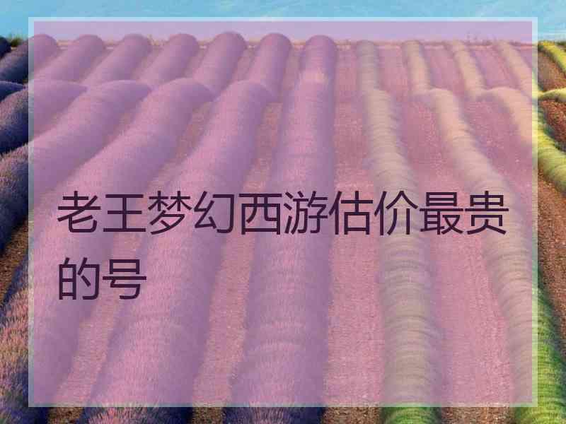 老王梦幻西游估价最贵的号