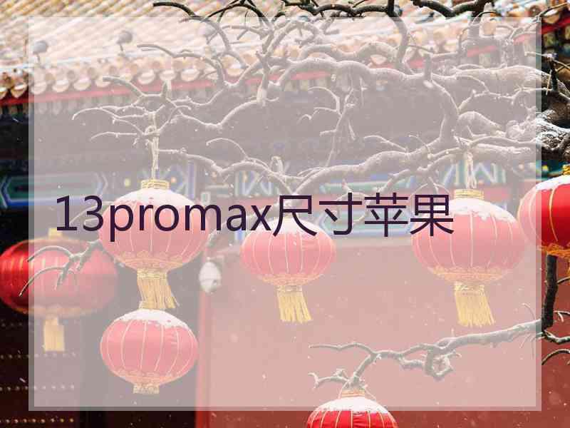 13promax尺寸苹果