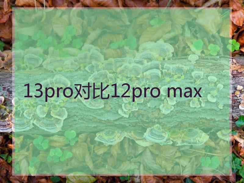 13pro对比12pro max