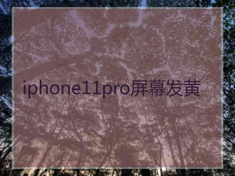 iphone11pro屏幕发黄