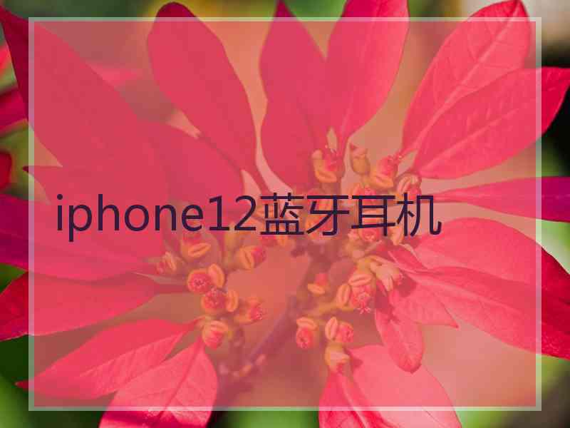 iphone12蓝牙耳机