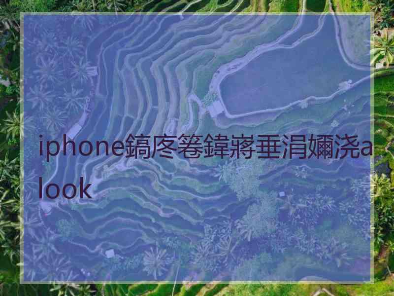 iphone鎬庝箞鍏嶈垂涓嬭浇alook