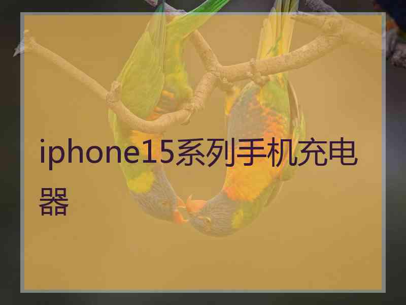 iphone15系列手机充电器