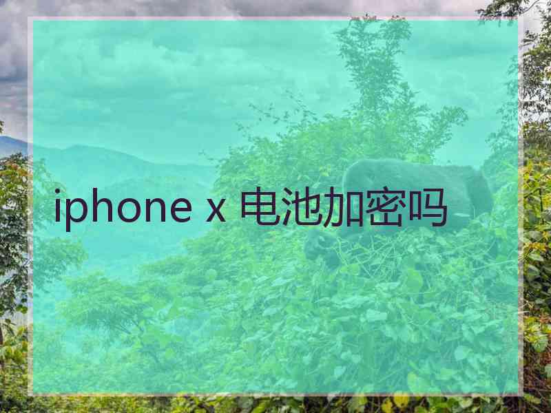 iphone x 电池加密吗