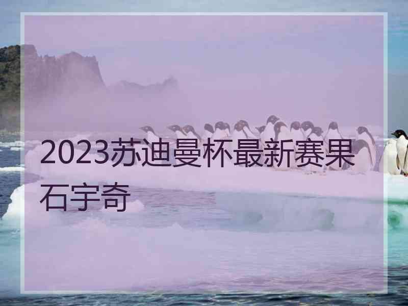 2023苏迪曼杯最新赛果石宇奇