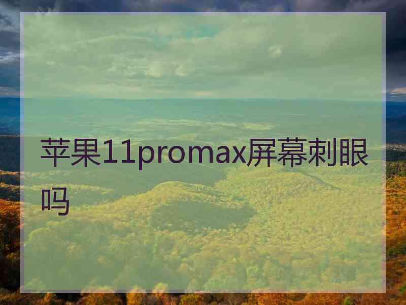 苹果11promax屏幕刺眼吗