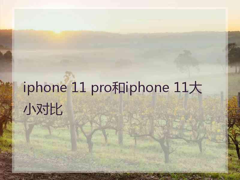 iphone 11 pro和iphone 11大小对比