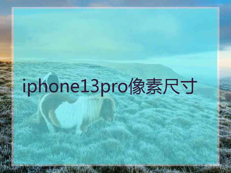 iphone13pro像素尺寸