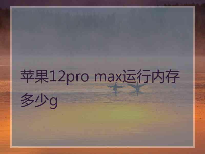 苹果12pro max运行内存多少g