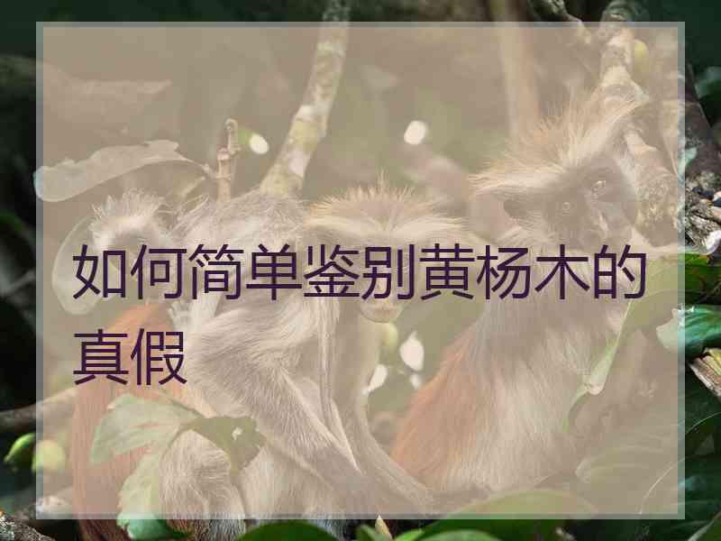 如何简单鉴别黄杨木的真假