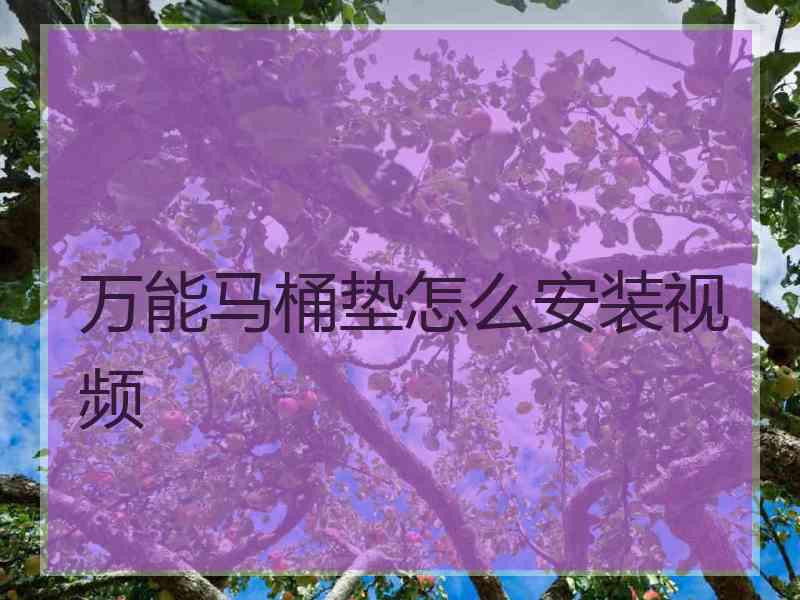 万能马桶垫怎么安装视频