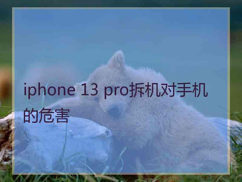 iphone 13 pro拆机对手机的危害