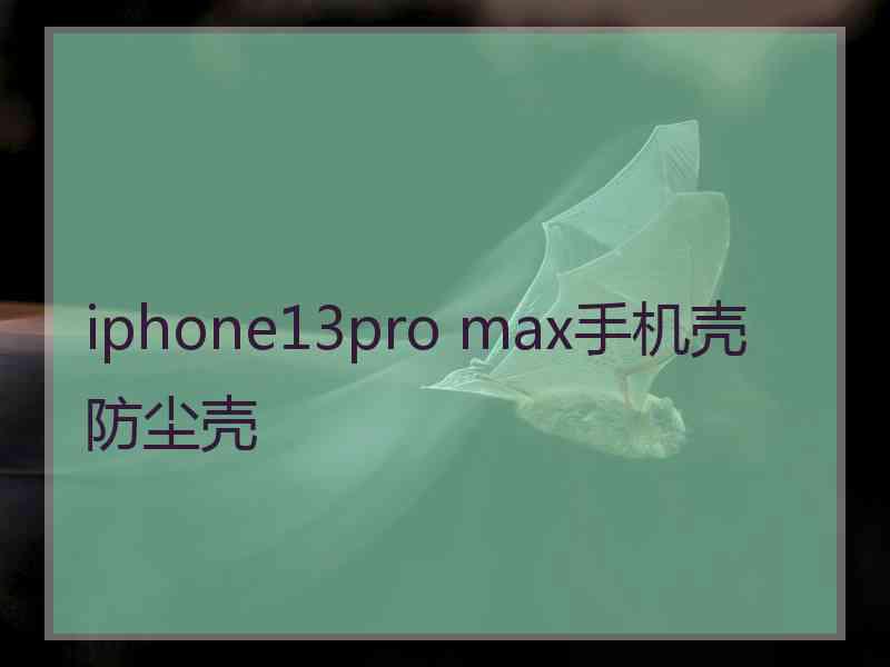 iphone13pro max手机壳防尘壳