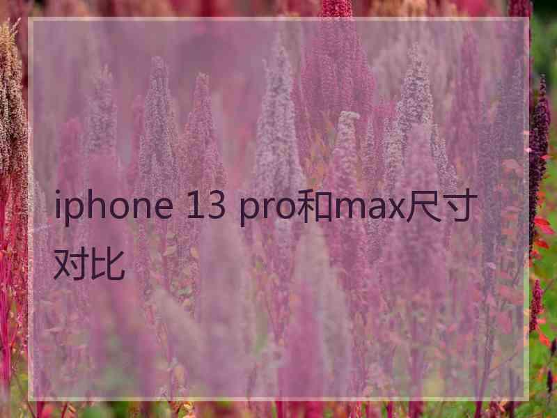 iphone 13 pro和max尺寸对比