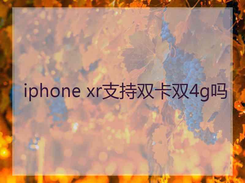 iphone xr支持双卡双4g吗