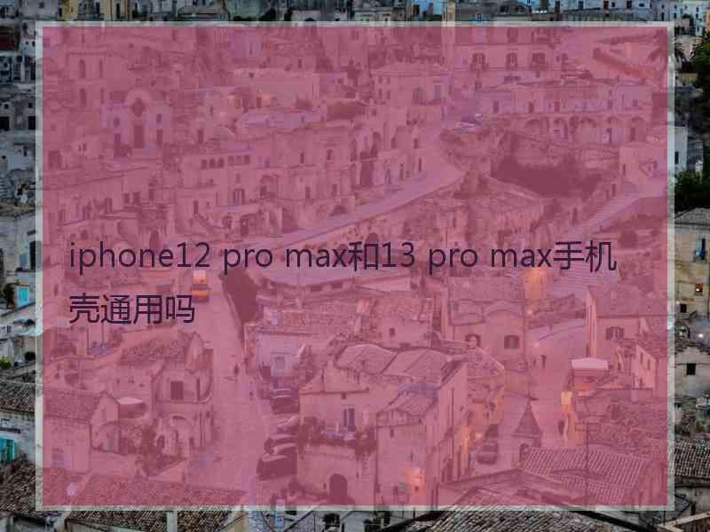 iphone12 pro max和13 pro max手机壳通用吗