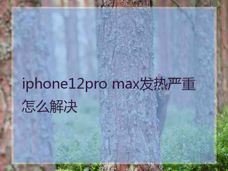 iphone12pro max发热严重怎么解决