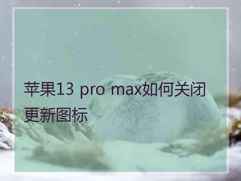 苹果13 pro max如何关闭更新图标