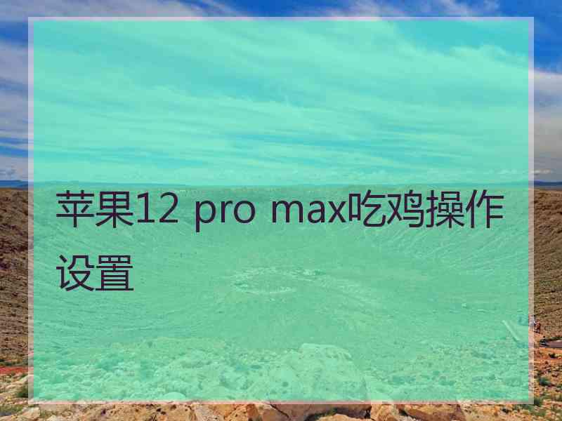 苹果12 pro max吃鸡操作设置