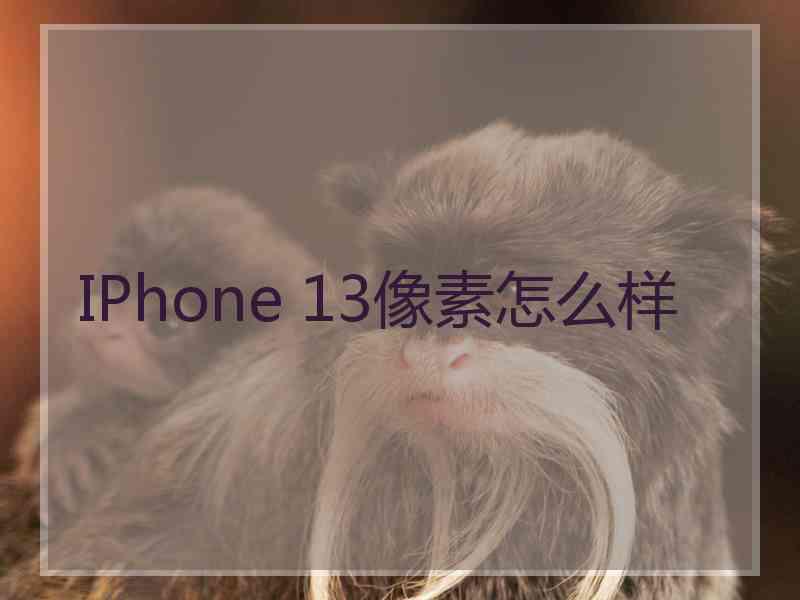 IPhone 13像素怎么样