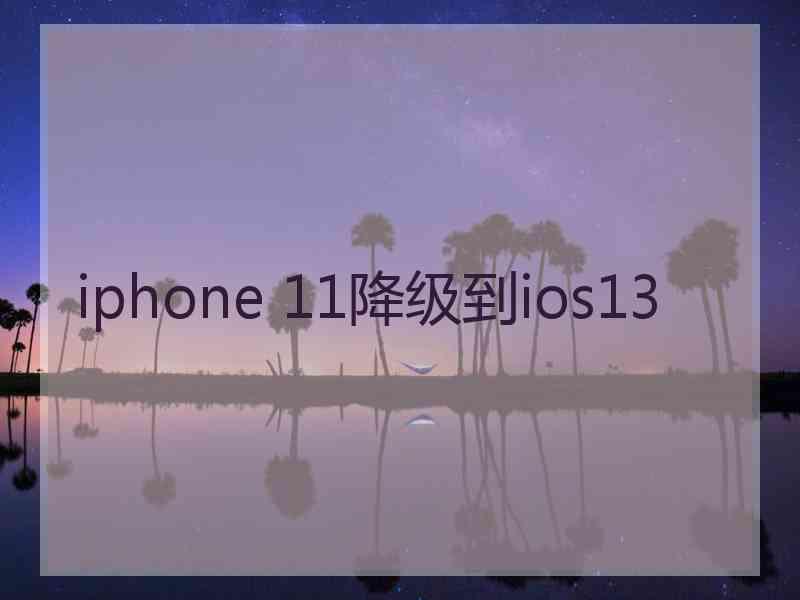 iphone 11降级到ios13