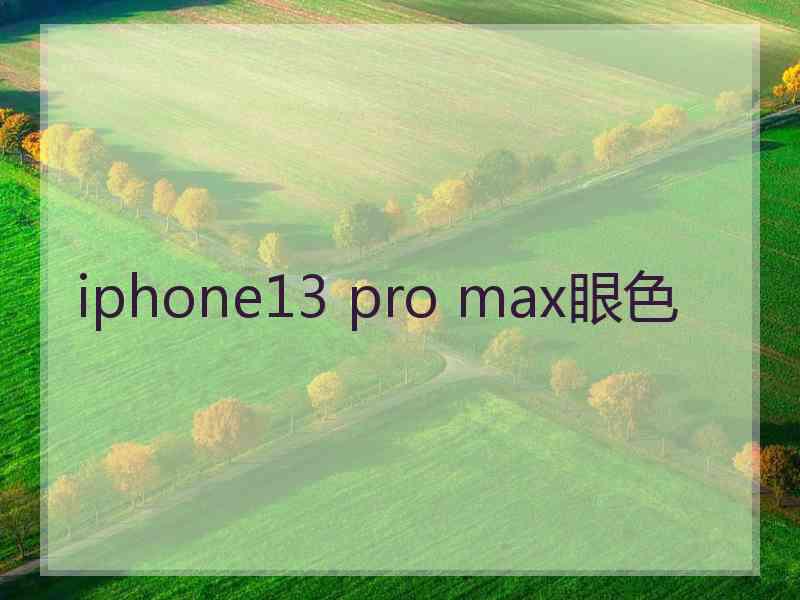 iphone13 pro max眼色