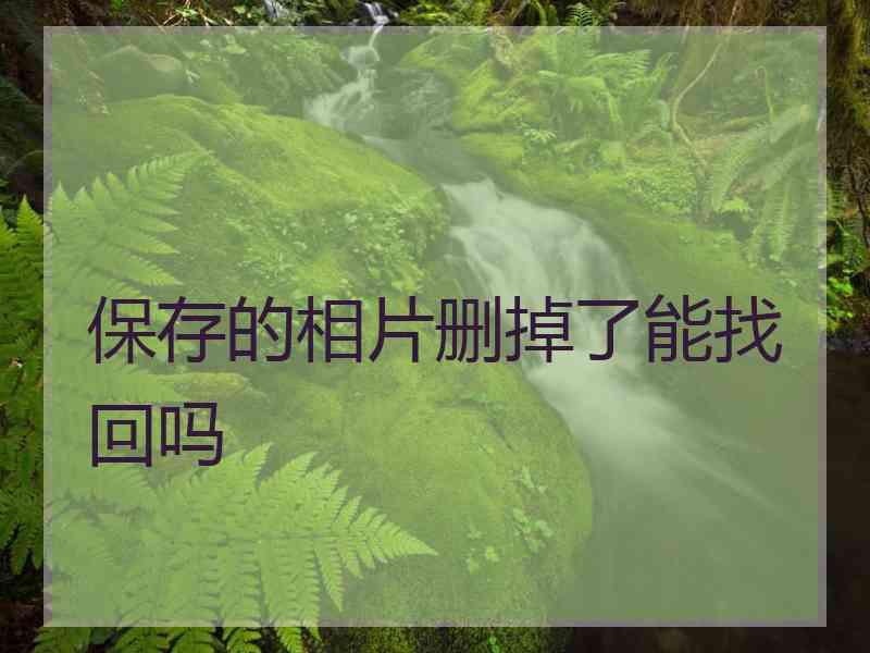 保存的相片删掉了能找回吗